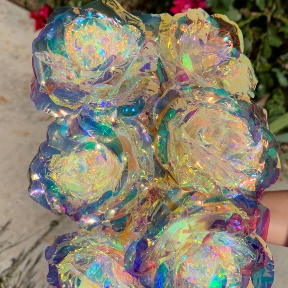 🌈🌹 iridescent multicolor rose flower rainbow - Picture 5 of 8